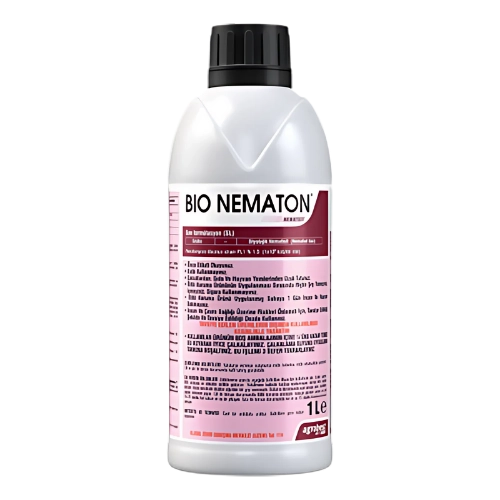 Bio Nematon