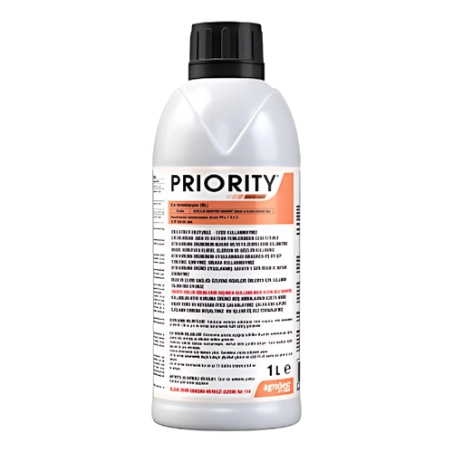 Priority